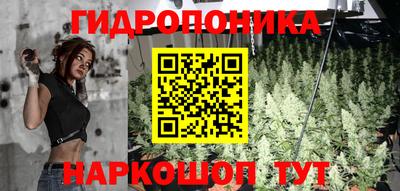 дмт Новокубанск