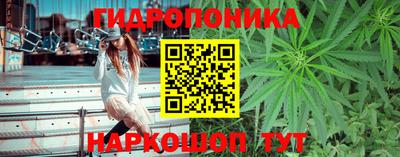 дистиллят марихуана Новозыбков