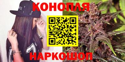 дмт Новокубанск