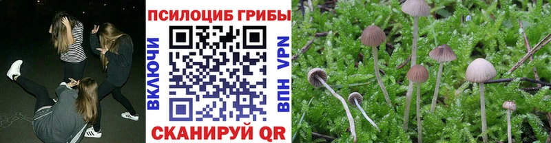 гидра вход  Славянск-на-Кубани  Галлюциногенные грибы мицелий 