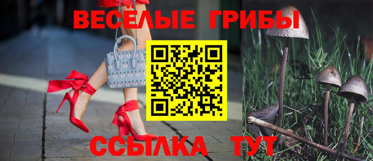 Галлюциногенные грибы прущие грибы  Галлюциногенные грибы Cubensis  Вход с VPN  Славянск-на-Кубани 